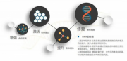 日本首款完成备案的NMN面膜，开启面膜基因抗老逆龄！