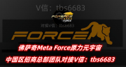 佛萨奇原力元宇宙怎么玩 ？佛萨奇MetaForce原力元宇宙最新攻略